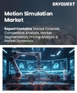 Global Motion Simulation Market
