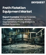 Global Froth Flotation Equipment Market