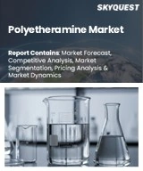 Global Polyetheramine Market