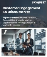 Global Customer Engagement Solutions Market