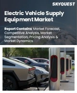 Global Electric Vehicle Supply Equipment Market