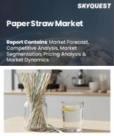 Global Paper Straw Market
