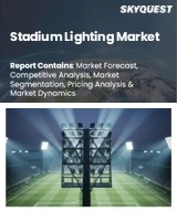 Global Stadium Lighting Market
