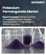 Global Potassium Permanganate Market