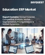 Global Education ERP Market