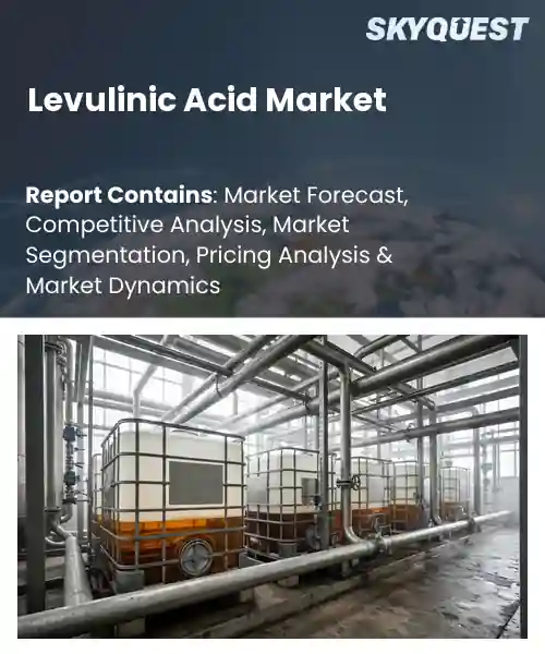 Global Levulinic Acid Market