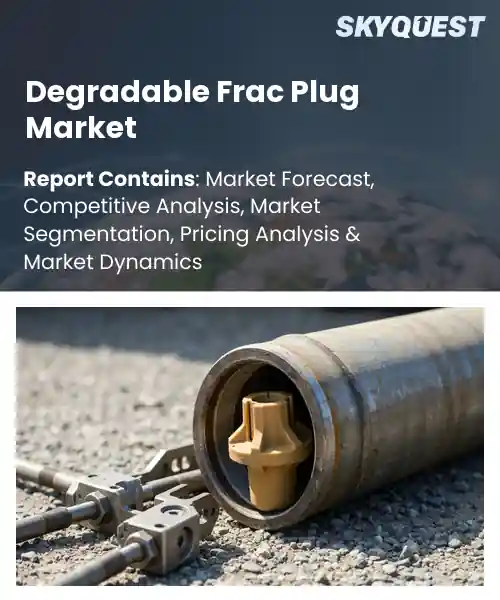 Degradable Frac Plug Market