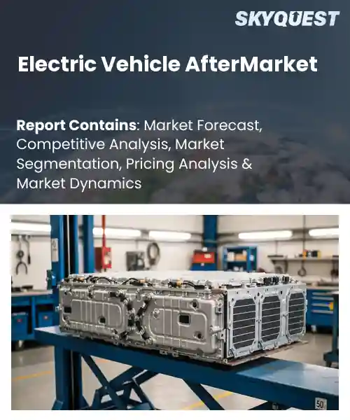 Electric Vehicle AfterMarket