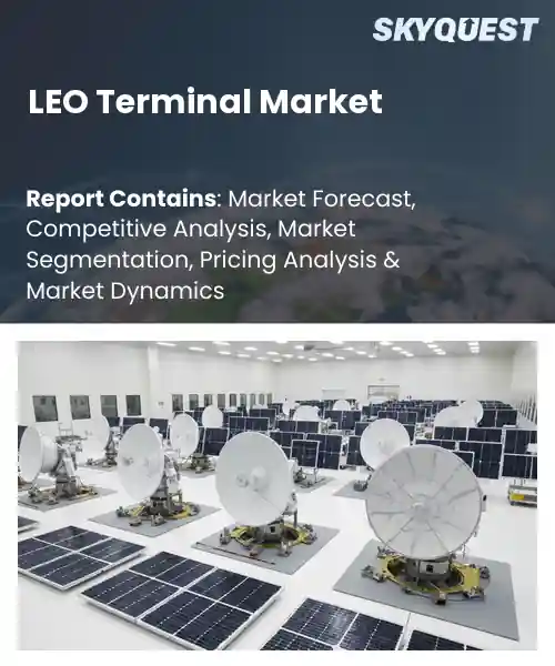 LEO Terminal Market