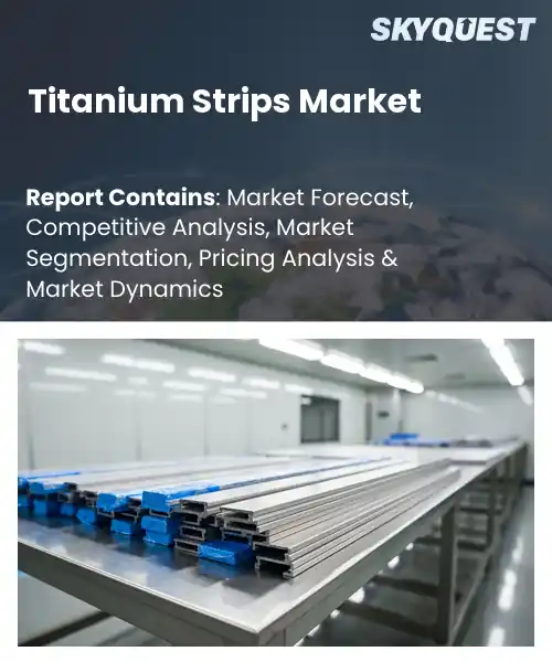 Titanium Strips Market