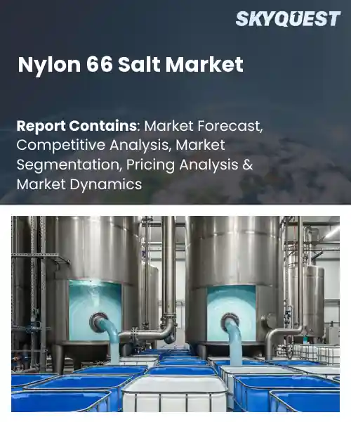 Nylon 66 Salt Market