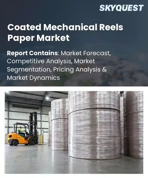 Coated Mechanical Reels Paper Market