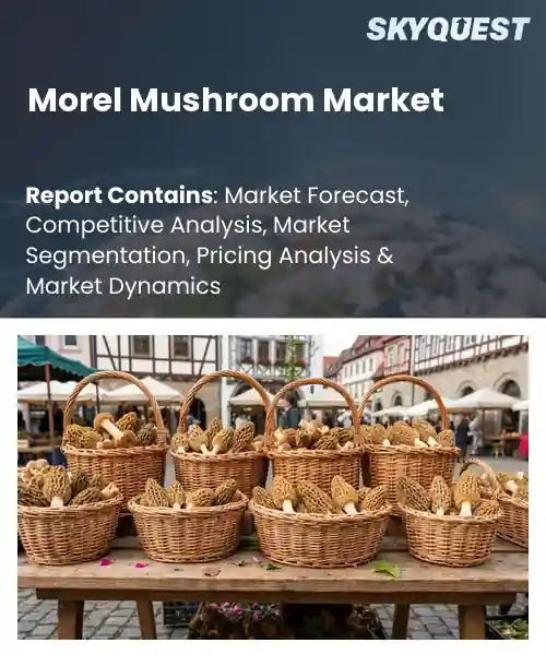 Morel Mushroom Market
