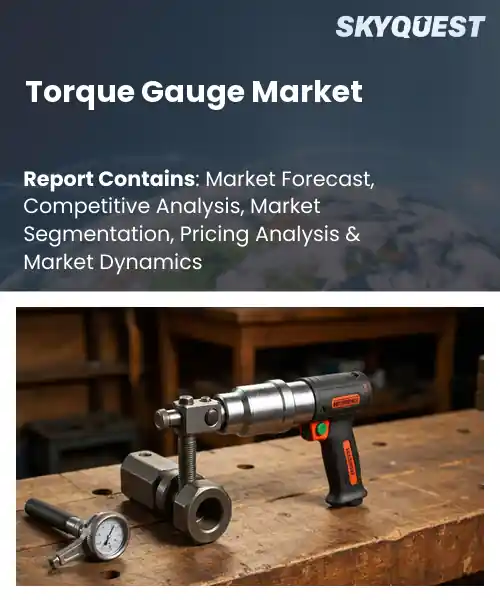 Torque Gauge Market