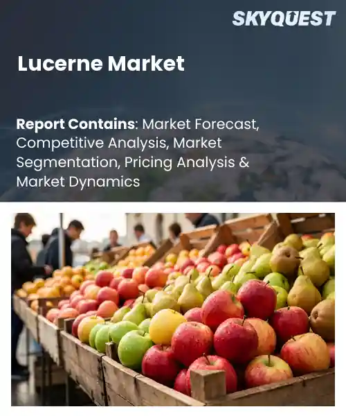 Lucerne Market