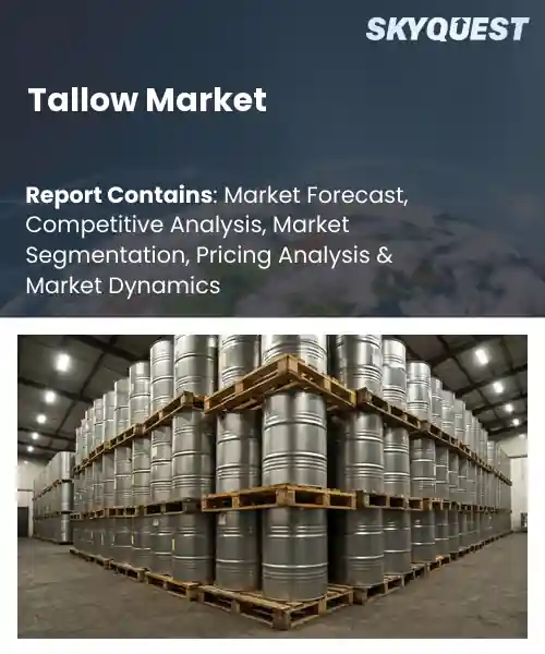Tallow Market