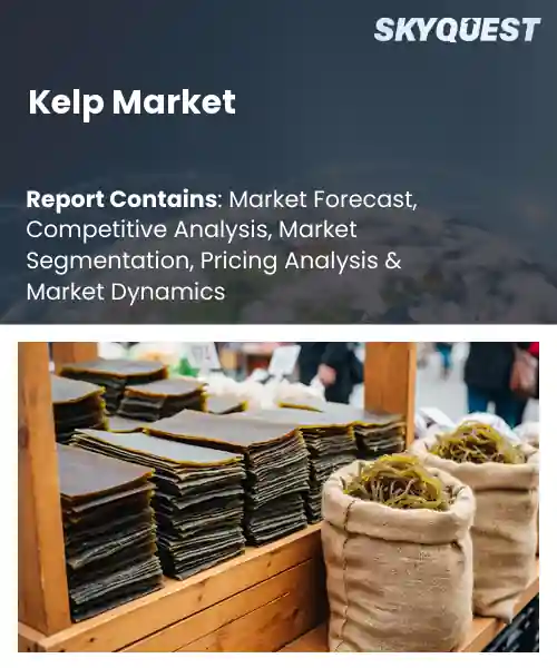 Kelp Market