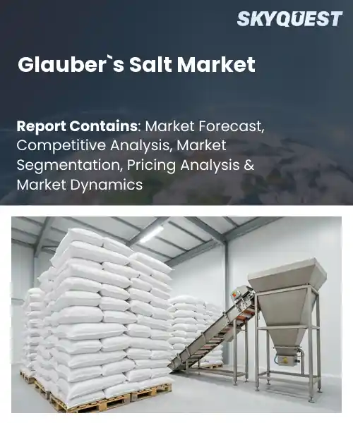 Glauber`s Salt Market