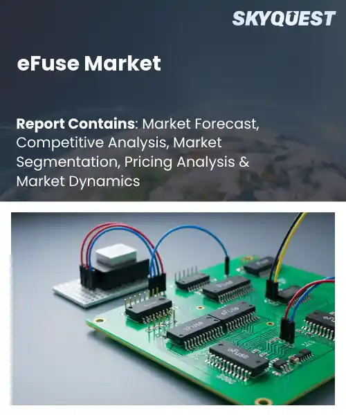 eFuse Market