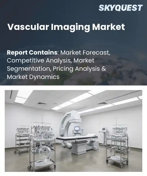 Vascular Imaging Market