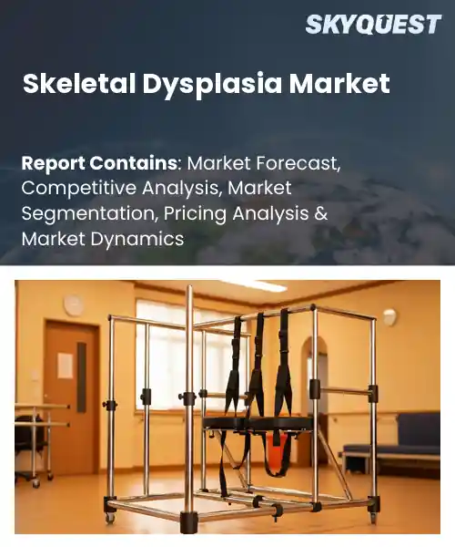 Report