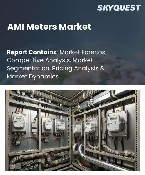 AMI Meters Market Size, Share | Industry Report [2033]
