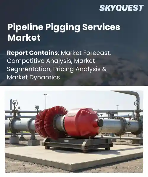 Pipeline Pigging Services Market