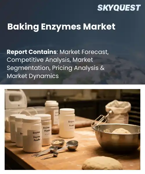 Report