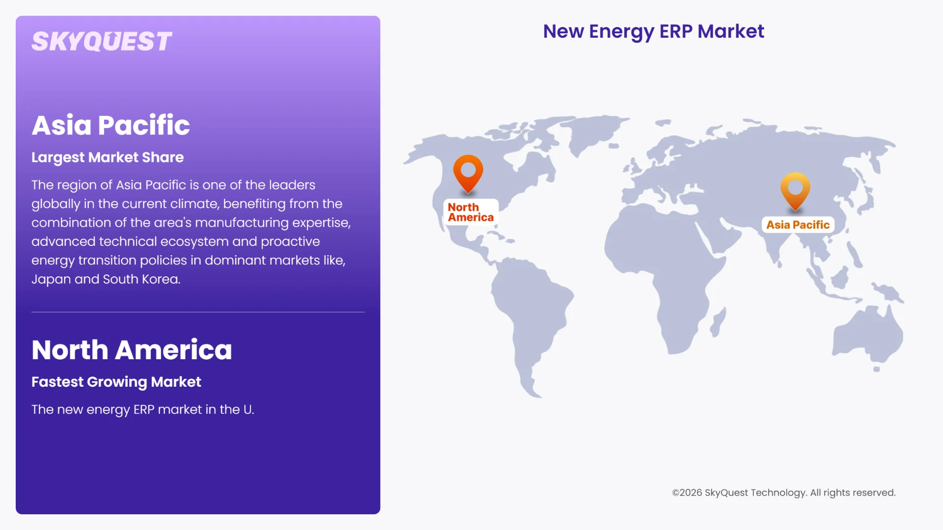 New Energy ERP Market Regional Analysis