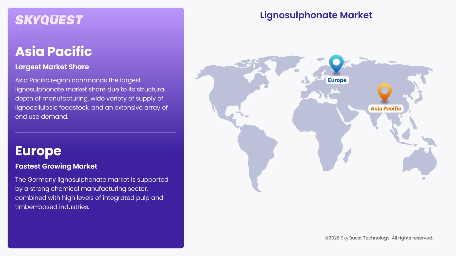 Lignosulphonate Market Regional Analysis