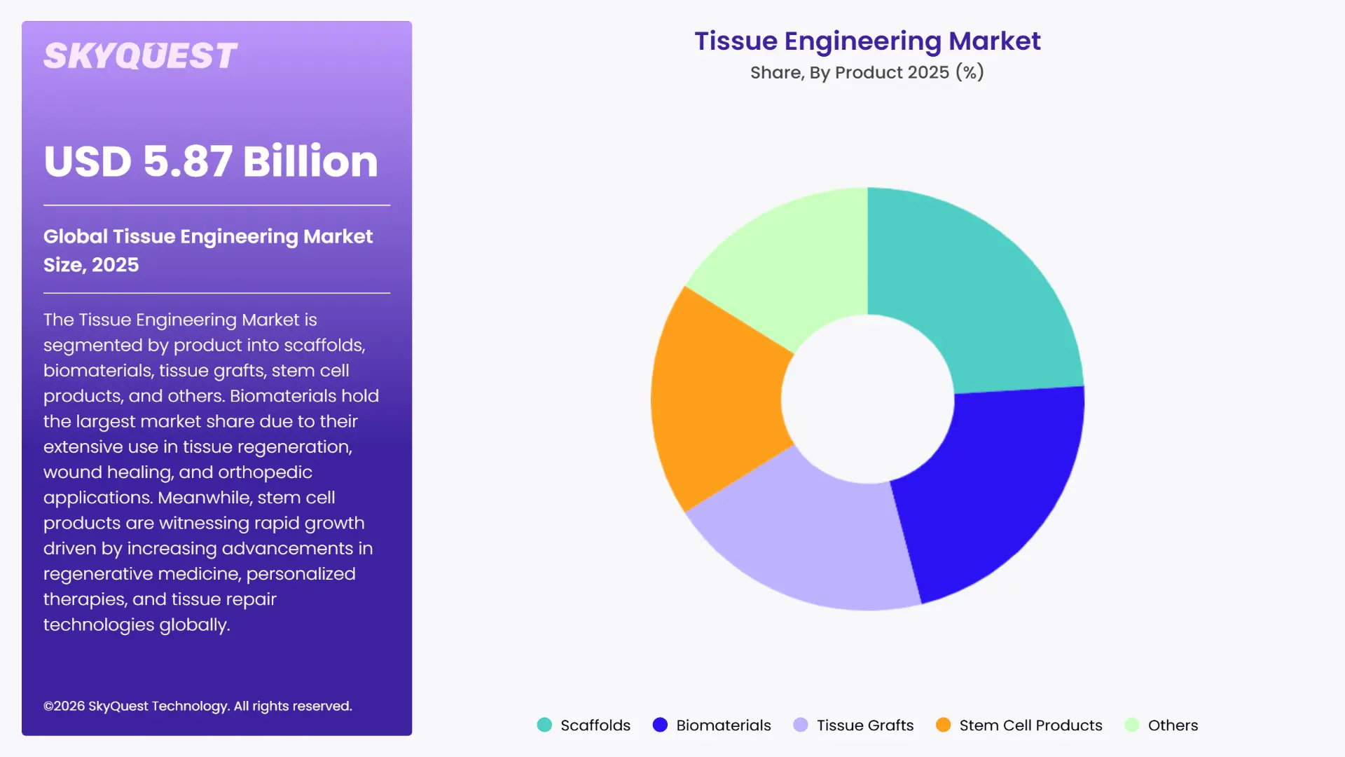 Tissue Engineering Market By Segments