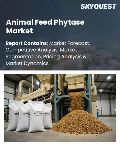 Animal Feed Phytase Market