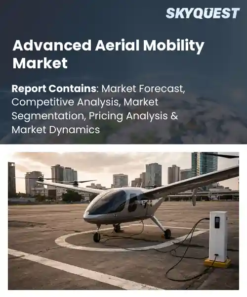 Advanced Aerial Mobility Market
