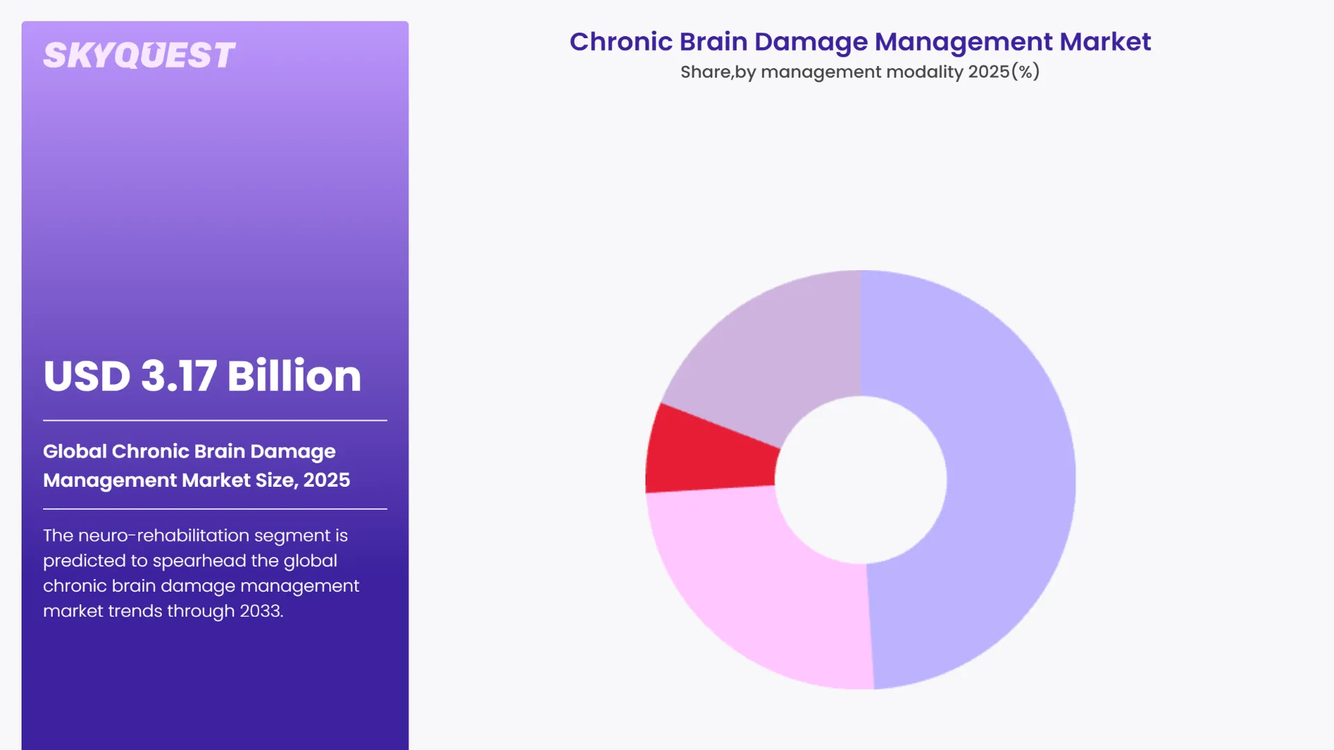 Chronic Brain Damage Management Market By Segments