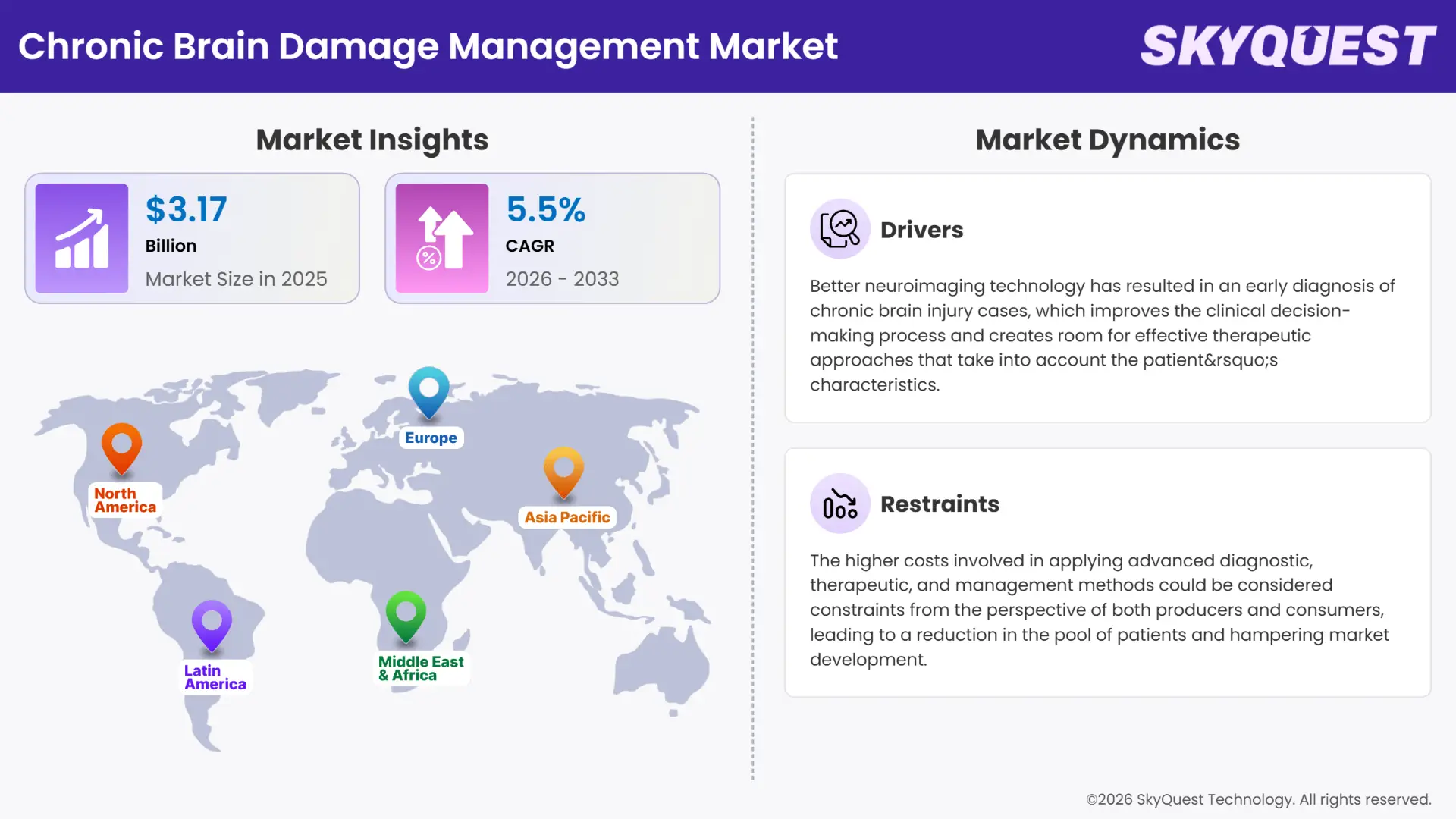 Chronic Brain Damage Management Market Insights