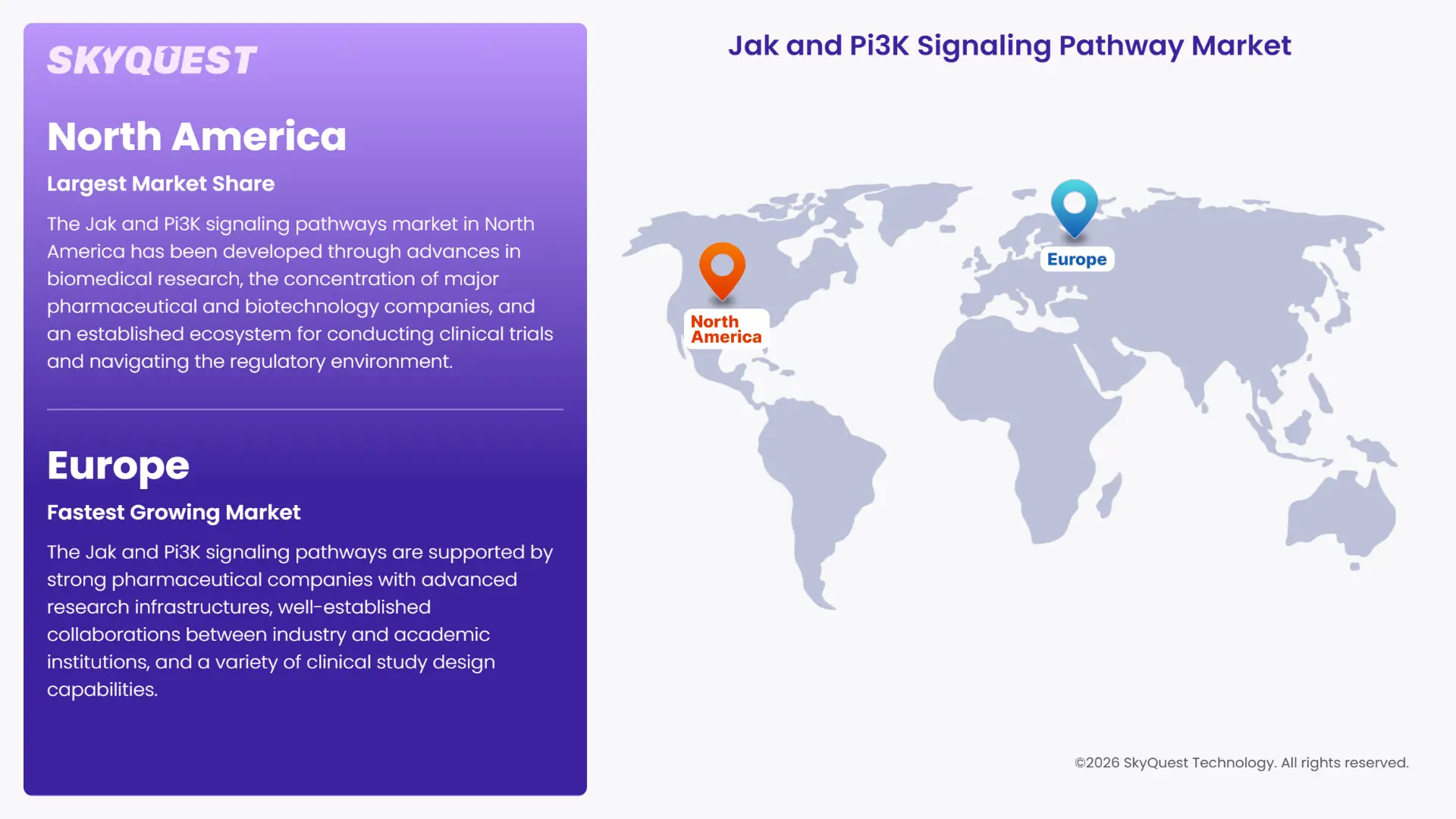 Jak and Pi3K Signaling Pathway Market Regional Analysis