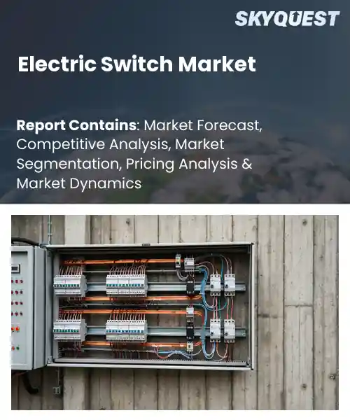 Electric Switch Market