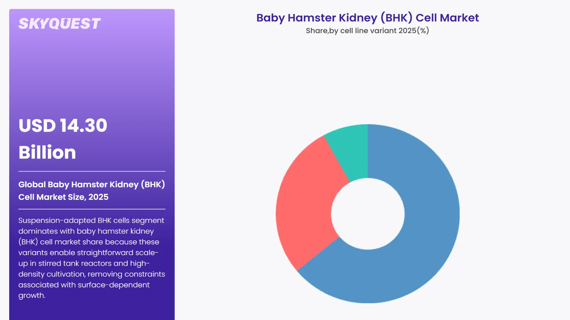 Baby Hamster Kidney (BHK) Cell Market By Segments
