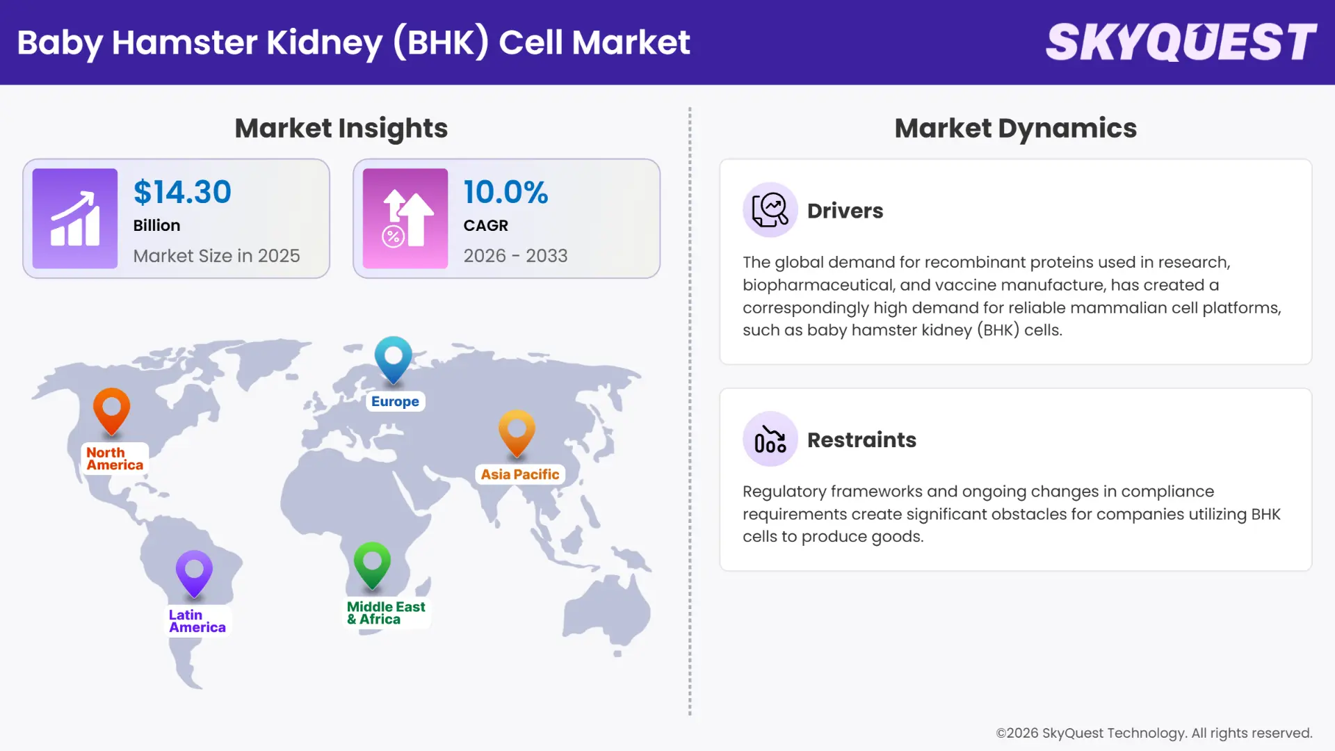 Baby Hamster Kidney (BHK) Cell Market Insights
