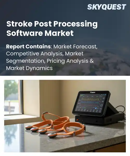 Stroke Post Processing Software Market