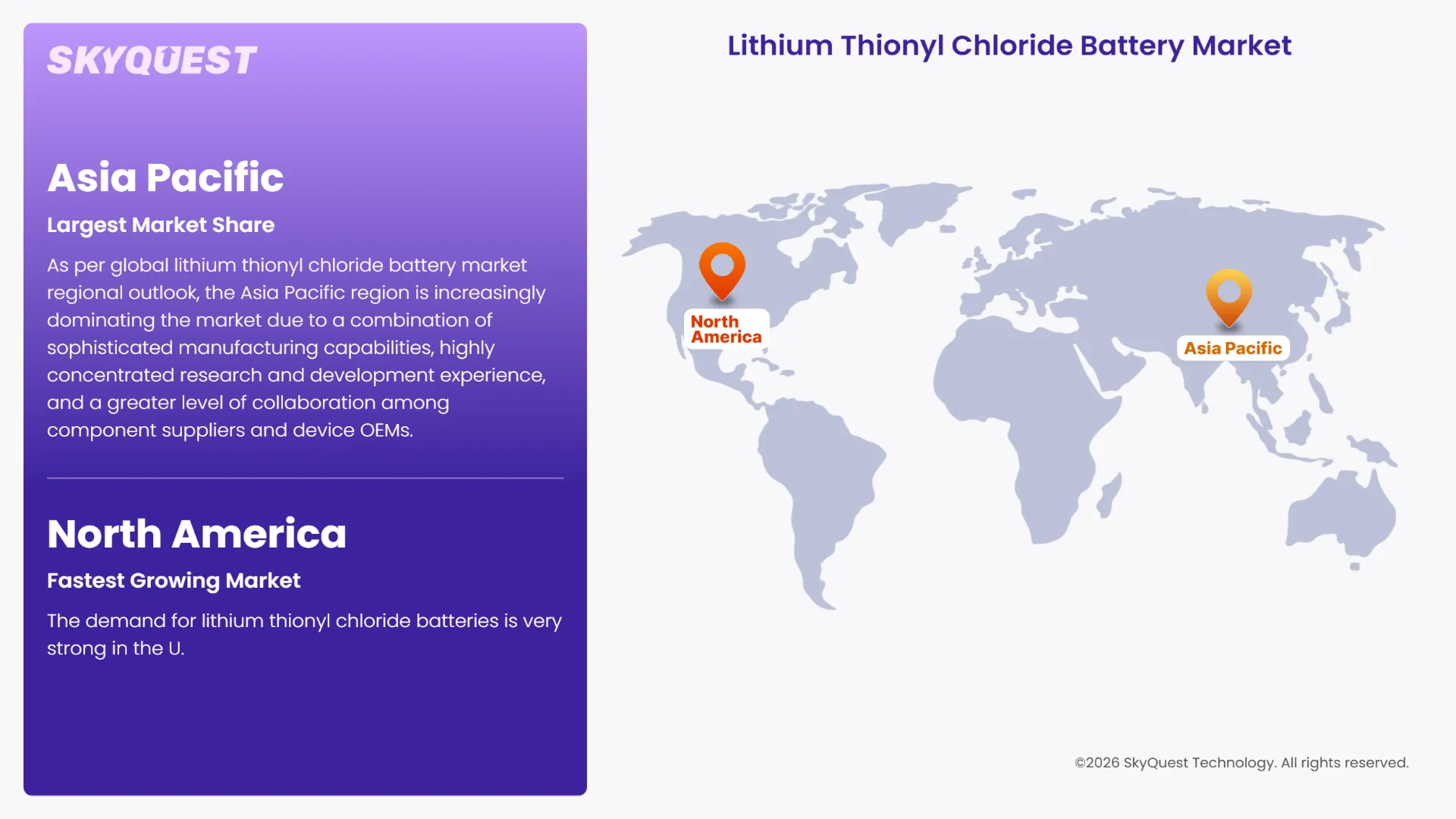 Lithium Thionyl Chloride Battery Market Regional Analysis