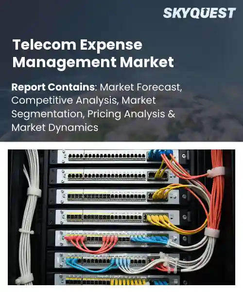 Telecom Expense Management Market