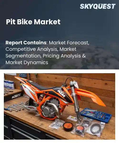 Pit Bike Market