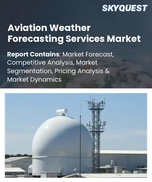 Aviation Weather Forecasting Services Market