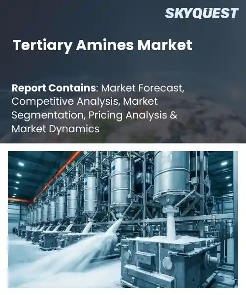 Tertiary Amines Market