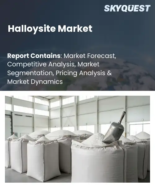 Halloysite Market