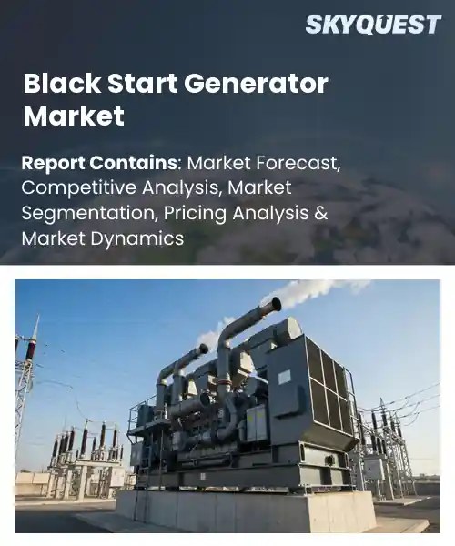 Black Start Generator Market