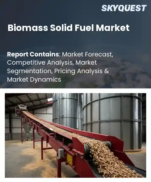 Biomass Solid Fuel Market