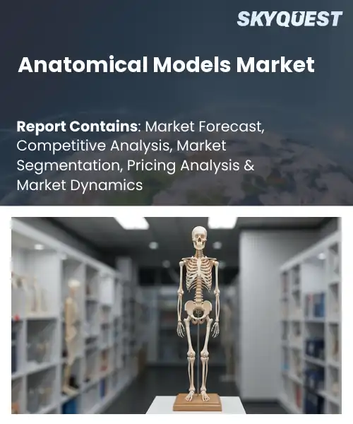 Anatomical Models Market
