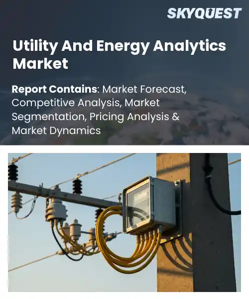 Utility And Energy Analytics Market